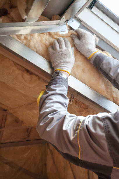 Best Insulation Air Sealing  in Osceola, MO