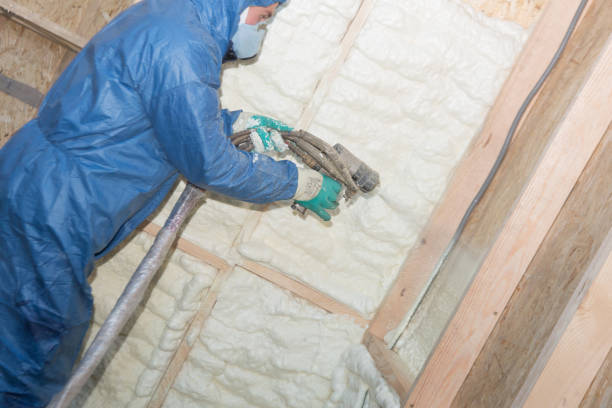 Best Garage Insulation  in Osceola, MO